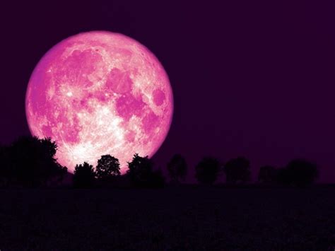 liquid pink|Full moons 